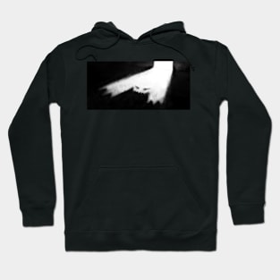 Feared darkness Hoodie